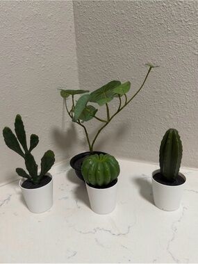 IKEA Faux Green Succulent and Cactus Set